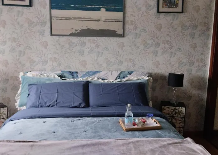 Serena * ボローニャ