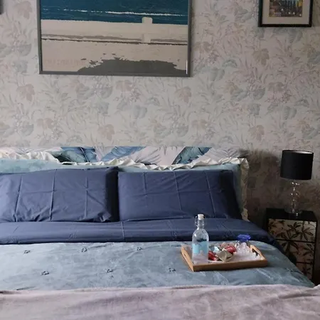 Serena * ボローニャ